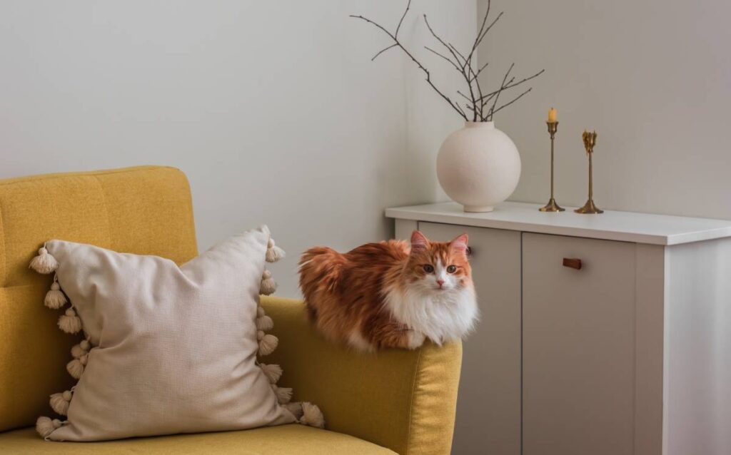Cómo decorar un rincón del salón
