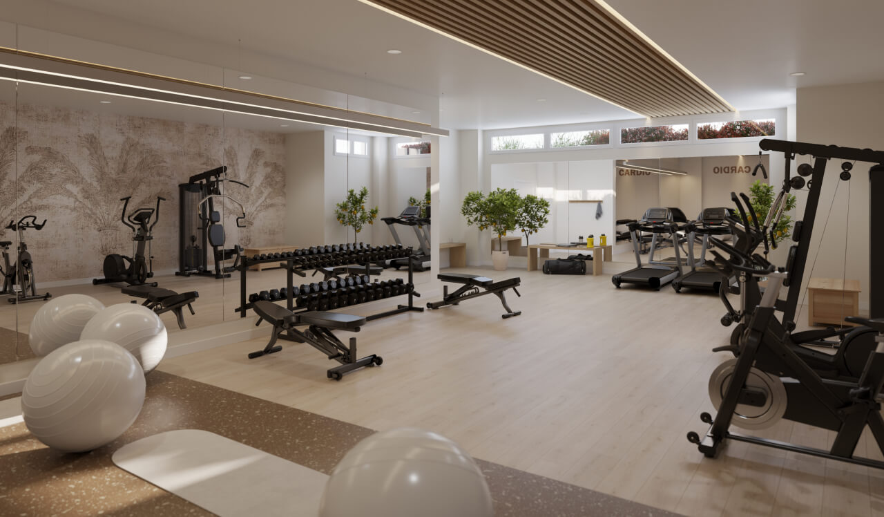 Gimnasio de Célere Blossom