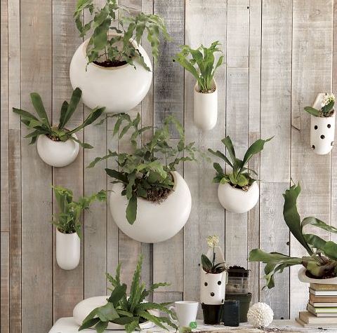 decoración con motivos naturales