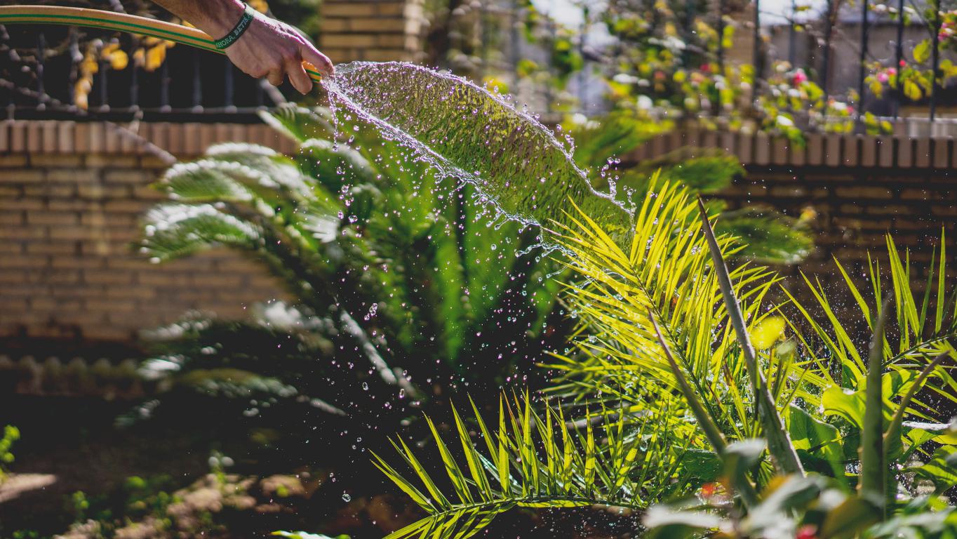 jardin-pequeño-vía-célere