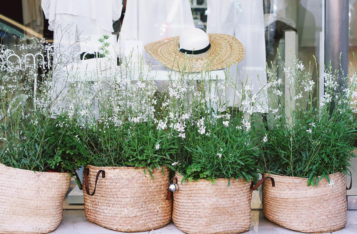 primavera en casa